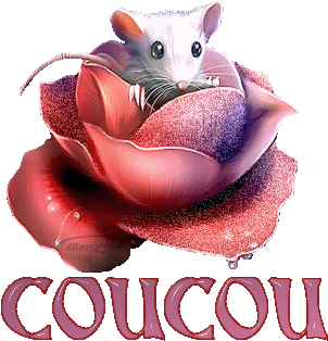 coucou !